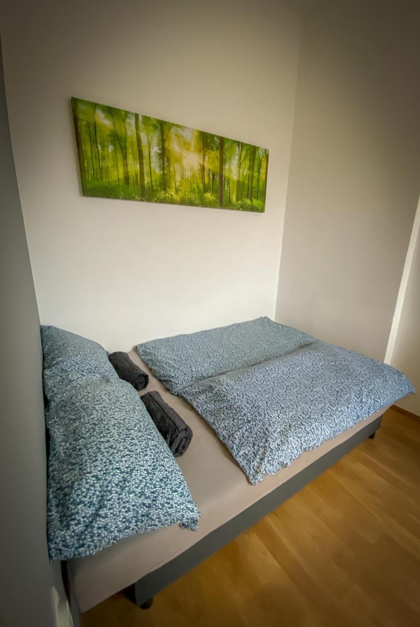 Lovely central apartment with free parking, Központhoz közeli 2 szép szobás lakás Győr Exterior foto